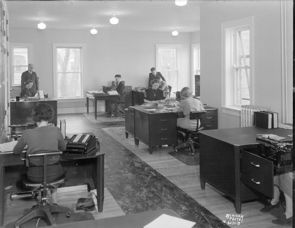 Remodeled C.U.N.A. office, 142 Gilman Street, from far end, with eight people working at their desks.