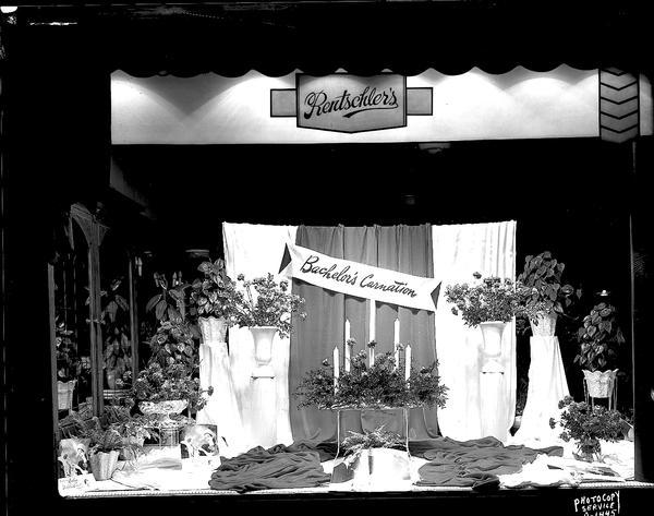 Display window of Rentschler Floral Company, 228 State Street, featuring "Bachelor's Carnations."