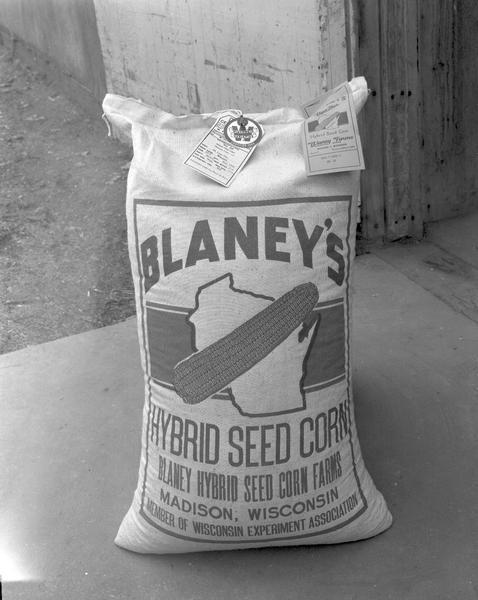 Bag of Blaney Farm seed corn. Sign on bag reads: "Blaney's Hybrid Seed Corn, Blaney Hybrid Seed Corn Farms, Madison, Wisconsin, Member of Wisconsin Experiment Association."