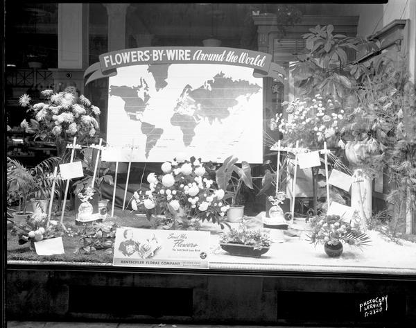 Rentschler Floral Company Floral Telegraph Delivery window display, "Flower's-by-Wire, Around the World."