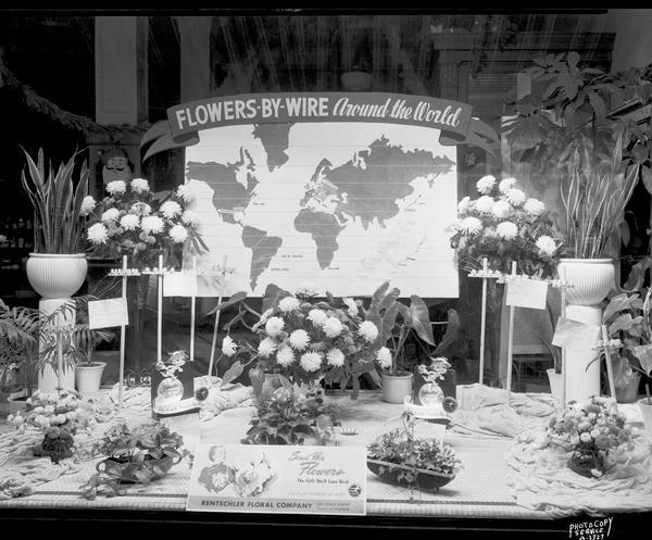 Rentschler Floral Company, 230 State Street, Floral Telegraph Delivery window display with plants and floral arrangements, banner with world map and "Flowers-by-Wire, Around the World."