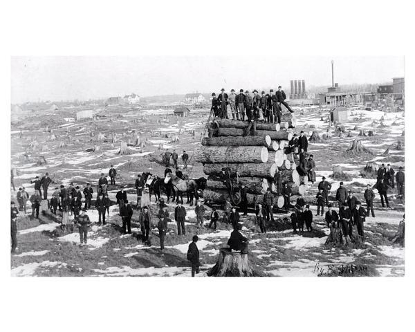 Wisconsin Land & Lumber Company Camp 15. Lumberjacks posed atop a sled load of logs, scaled at 13,562 board feet of lumber.