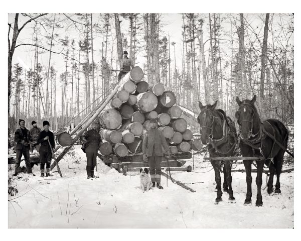 Loggers using pulley to top load logs on horse-drawn bob sled.