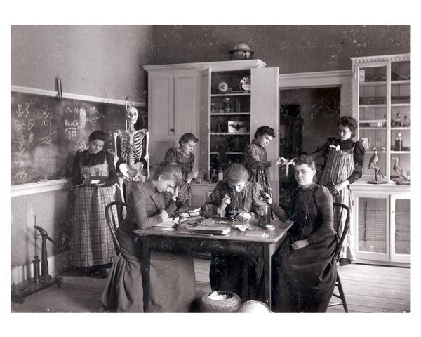 Downer College students working in a laboratory in which a human skeleton, a frog, a bat and stuffed birds are displayed.