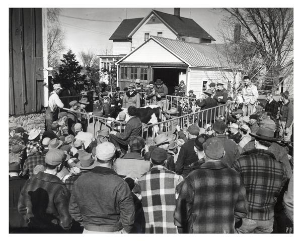 Group of farmers observe and participate in a farm auction.
