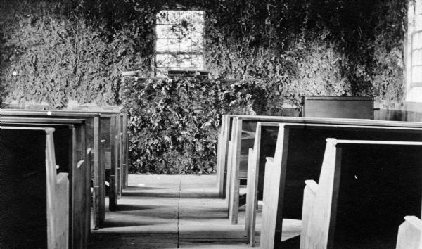 Interior of Congregational Church located on the Mission grounds at La Pointe. Shows the walls covered with vegetation, and pews and an altar.