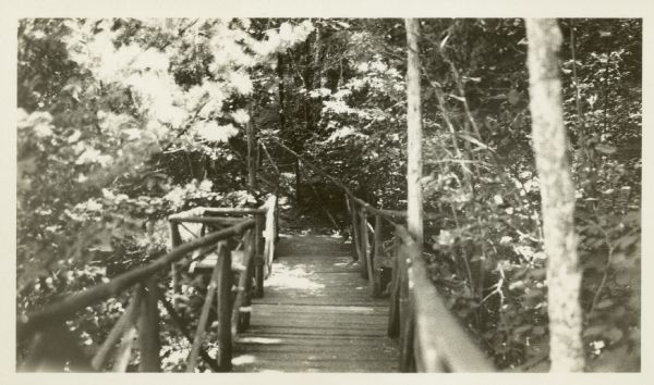 Wooden walkway with railings surrounded by trees.