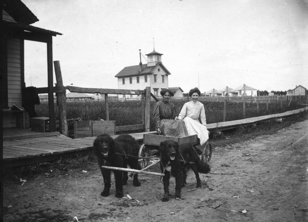 Two women sitting in dog cart on dirt street in front of boardwalk. La Pointe Village School is in the background. Dog team belongs to Tom Stahl.