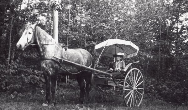 Mrs. Saxon in buggy with umbrella being pulled by her horse named Trixie.