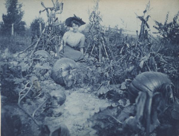Cyanotype view of Mrs. Harford sitting in pumpkin and corn in her garden on Madeline Island.