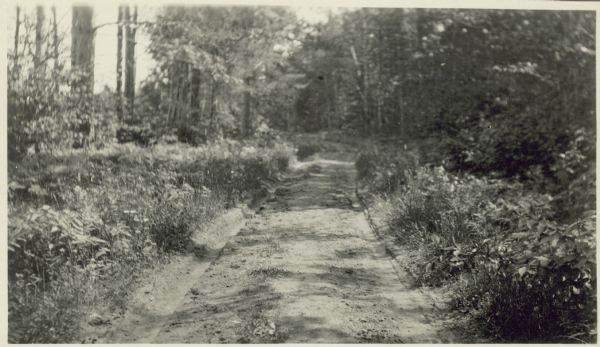 Main Road to the back of Hull Cottage on Madeline Island.