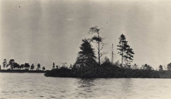 Trees on the eastern shoreline of Madeline Island near Big Bay.