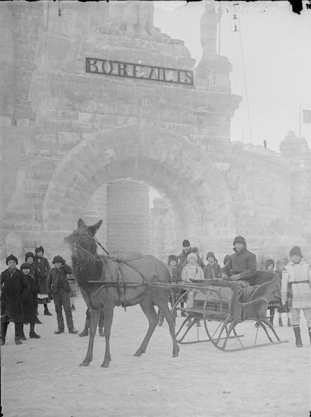 St. Paul Ice Carnival; Elk pulling sleigh outside palace. There is a crowd posing and looking at the camera. A sign on the palace reads: "Borealis."