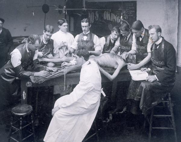 Medical students dissect a cadaver at the Chicago College of Physicians and Surgeons, University of Illinois. Surnames on the students' aprons include: Cornell (possibly John), Shepherd, Gourley(?), Anderson(?) and Glowoski(?).
