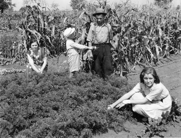 A worker from International Harvester's McCormick Works is with his wife and children in a city garden sponsored by the company. The gardens were located near 95th Street and Crawford Avenue and were intended for the relief of International Harvester workers who were laid off or had reduced hours.