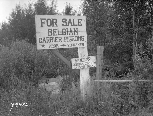 Signs are advertising sideline businesses along a rural road. There is a large sign that reads: "For Sale Belgian Carrier Pigeons," and a smaller sign that reads: "Agent for German Concertina Lessons Given."