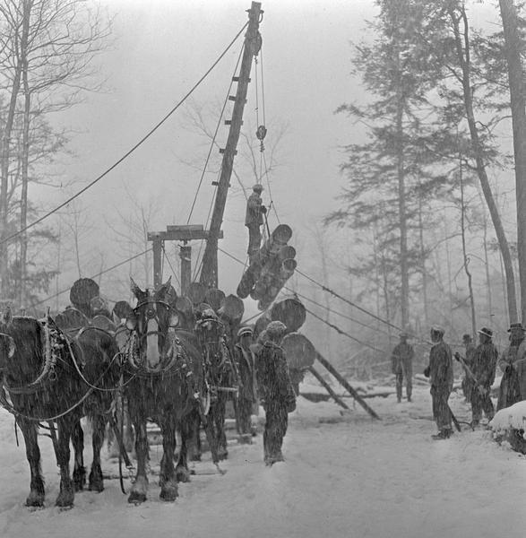 Loggers moving logs onto a horse-drawn wagon in the snow.