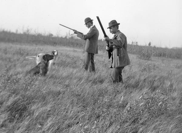 Two hunters check their shotguns while their hunting dogs wait in the field.