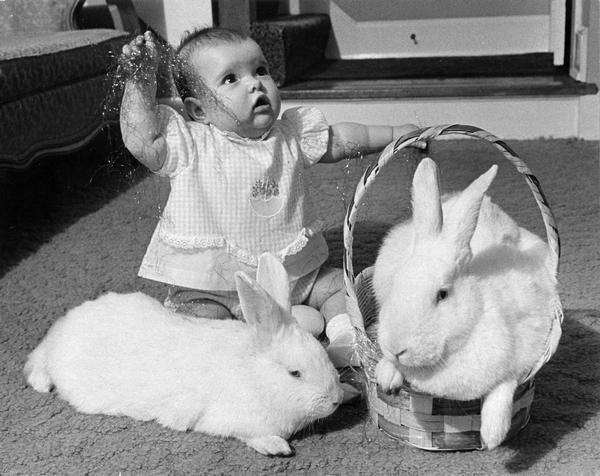 Rabbits as big as 6-month-old Jennifer Tetzlaff sit in and near an Easter basket while she plays with cellophane "grass."