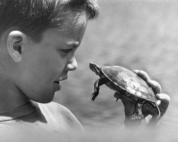 A boy is holding a turtle close to his face and gazing into its eyes.