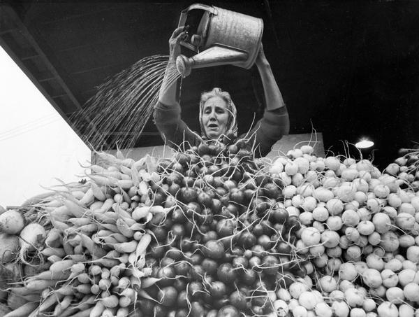 A woman pours water from a watering can onto several varieties of radishes she has displayed for sale.