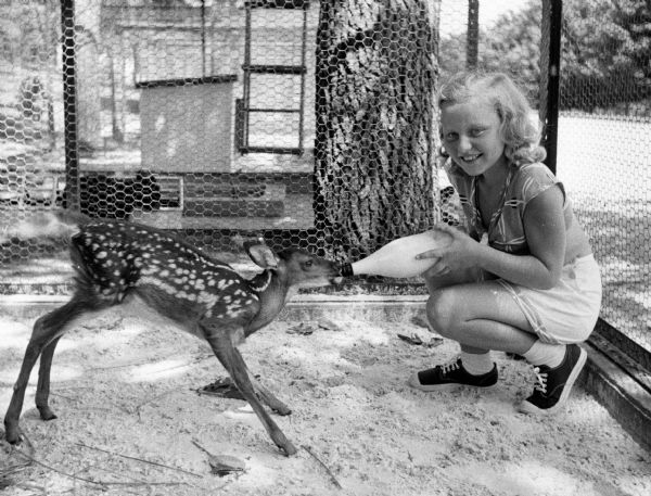 A fawn suckles a meal from a bottle held by a young girl inside the cage.