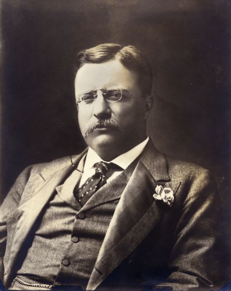 Studio portrait of Teddy Roosevelt.