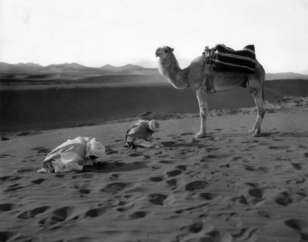 A camel stands on the desert sands near Biskra, Algeria, as two men pause to face Mecca and pray.