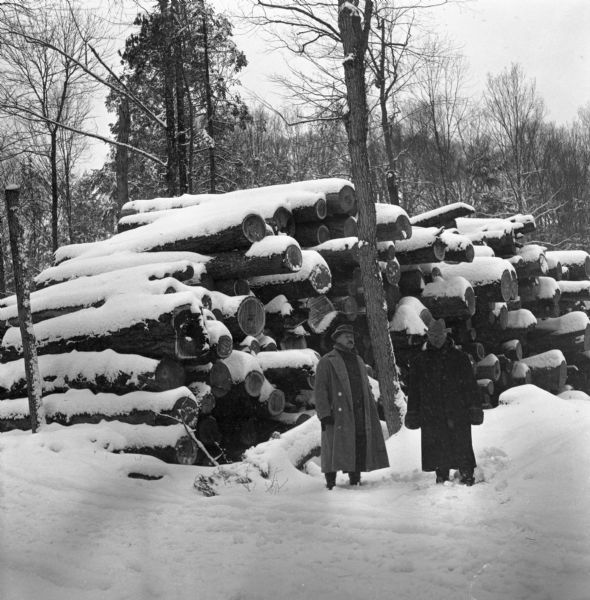 Two men dressed in business attire stand in the snow in front of logs cut as part of W.L.L. & T. logging operations.