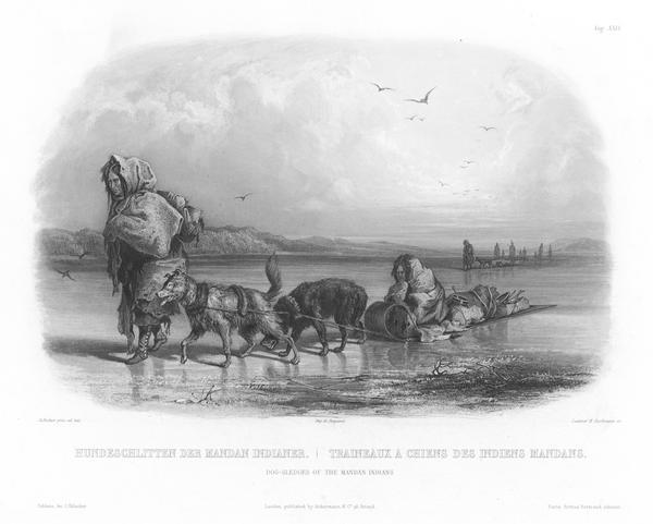 Two dog-sledges hauling supplies, with one also carrying a Mandan.