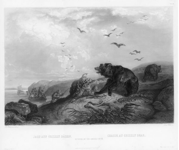 Hunting of the grizzly bear.
