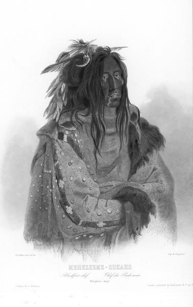 Mehkskeme-Sukahs, Blackfoot Chief.