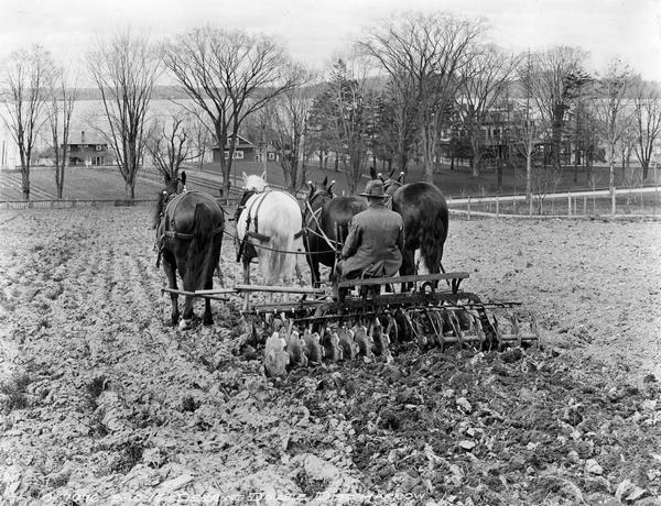 Farmer pulling a Deering double disc harrow with four horses in a field. A lake, trees and houses are in the distance.