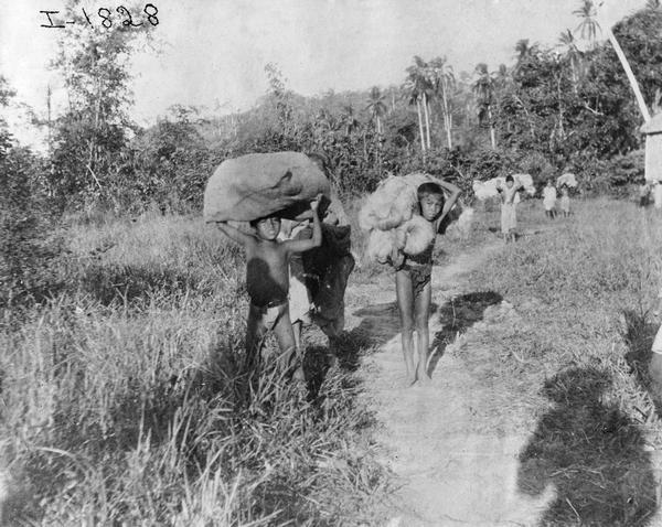 Procession of child laborers carrying bundles of twine fibre (fiber) down from the mountains in the Philippines. The fibre was likely used by International Harvester for twine production.