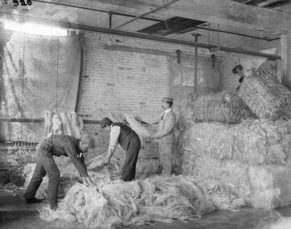 Workers inspecting strands of fibre (fiber) in a warehouse at International Harvester's Osborne Twine Mill. The Osborne Works was owned by D.M. Osborne Company until 1903, when it was purchased by International Harvester. The factory was later known as "Auburn Works."