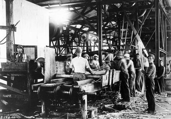 Workers processing sisal at a factory in the Philippines. The factory likely was owned by the International Harvester Company as part of its twine production operation.