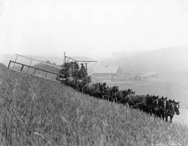 Farmers harvesting grain with horse-drawn McCormick-Deering no. 7 Hillside harvester-thresher (combine). The hillside machine incorporated a leveling device on the outer wheel that could be changed at any time as was required, while the header was free to pivot to accommodate varying slopes. Taken on the farm of Mr. Joy McGuire.