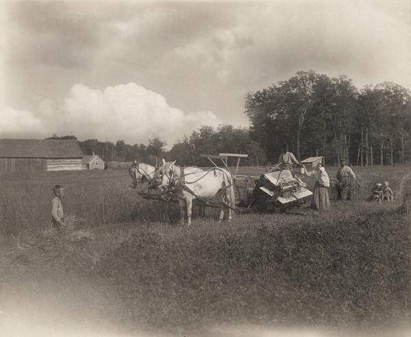 A woman with a child on one arm is handing a pail to a man in the seat of a horse-drawn McCormick binder. Another man and four children are nearby in the field. The binder was likely manufactured by the McCormick Harvesting Machine Company (McCormick became part of the International Harvester Company in 1902 and continued to manufacture binders under the "McCormick" brand name). The photograph may have been taken in Wisconsin.