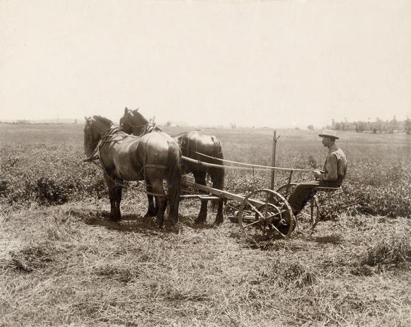 Man in a field in the seat of a mower drawn by two horses. The mower may be a McCormick, manufactured by the McCormick Harvesting Machine Company.