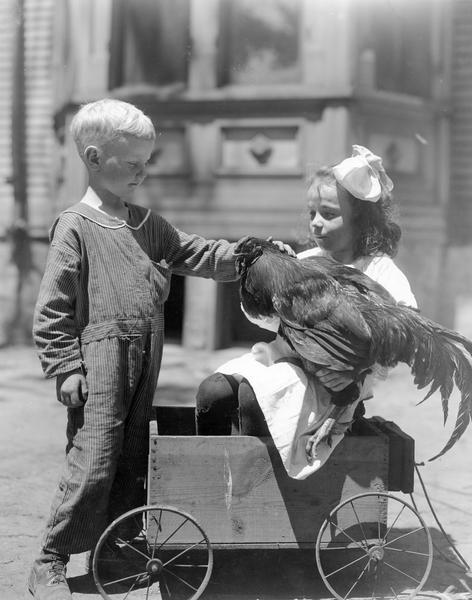 Young boy and girl petting a rooster. The girl is sitting in a small wooden wagon.