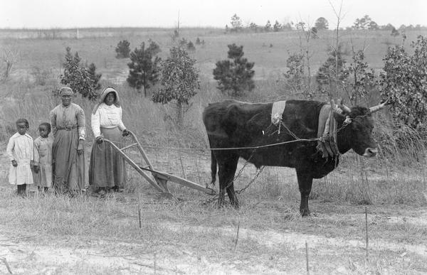 Two women and two young girls in a field with an ox-driven walking plow. Original caption reads: "This picture was not taken in Egypt nor India nor Africa but in Alabama near Enon and shows the primitive methods still in use among the miserably poor colored people of the south."