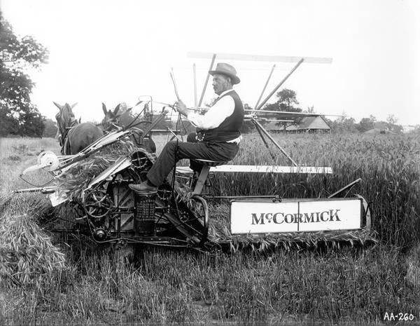 Well-dressed man in a field sitting in a McCormick grain binder drawn by mules.
