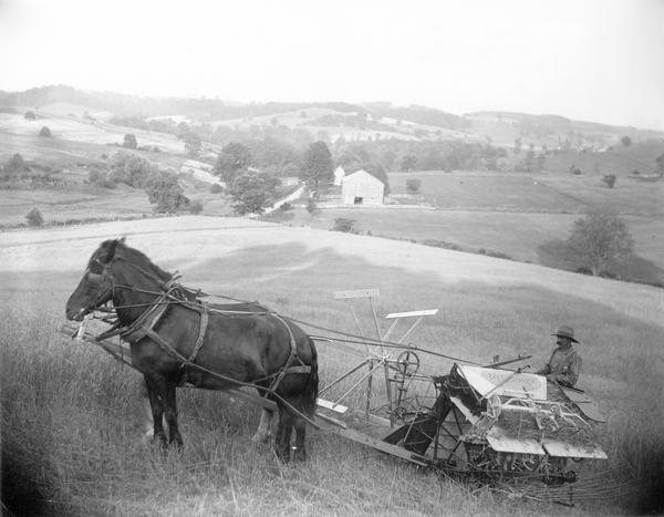 Slightly elevated view of a farmer harvesting grain on a hill or ridge with a horse-drawn McCormick grain binder near Pittsburgh. In the background is a valley.