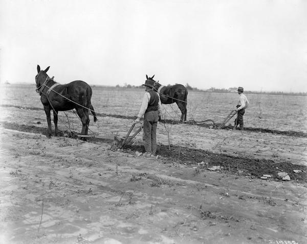 Two men plowing a field with horse-drawn walking plows. The photograph was taken for, or compiled by International Harvester's Agricultural Extension Department.