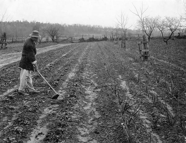 Dr. Beeson tending to lettuce and onions in his winter garden. Original caption reads: "These vegetables have been under cultivation all winter and have been doing well in spite of the fact that the winter has been one of the hardest in many years. It seems strange that in a country where it is so easy to grow a garden, so few people have them. From an investigation of 1000 farmers in the south, it was found that only 200 had a garden."