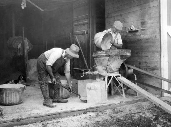 Two men operating a McCormick-Deering feed grinder in a barn or shed at International Harvester's experimental farm.