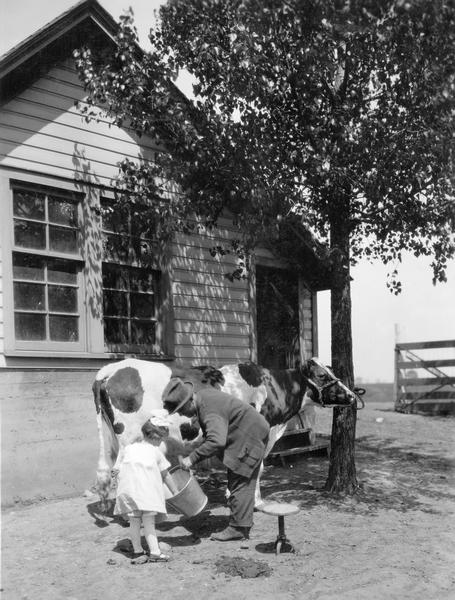 A man and a little girl milking a cow with a pail at Cutten Farms. A note with the original print reads: "Tuberculosis Must Go (Cover)." This was the title of a publication by International Harvester's Agricultural Extension Department.