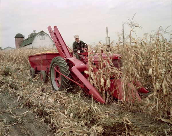 Farmer harvesting corn with a McCormick no. 24 two-row corn-picker and farm wagon ("barge wagon") attached to McCormick Farmall H tractor.