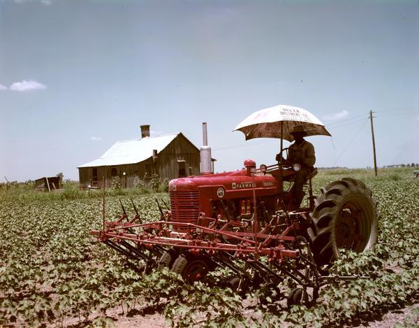 View of an African American farmer cultivating a cotton field with a stage I McCormick Farmall Super MD tractor. The tractor is equipped with a cultivator and a sun shade that reads "Delta Implement Co., Greenville, Miss."