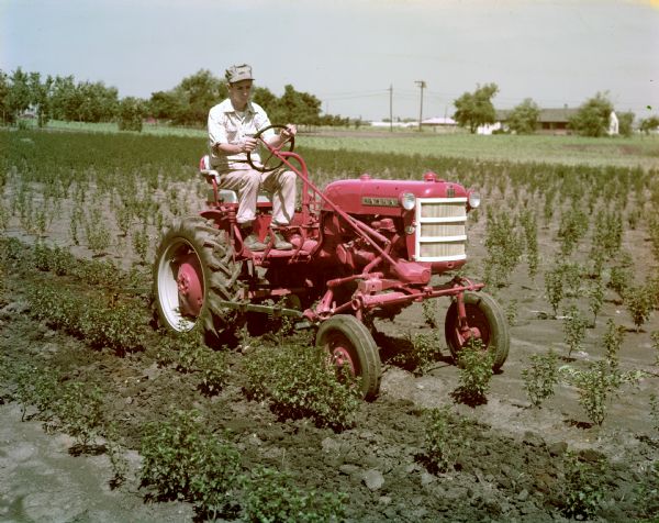 Color photograph of a farmer working in the field with a Farmall Cub tractor and attached cultivator.